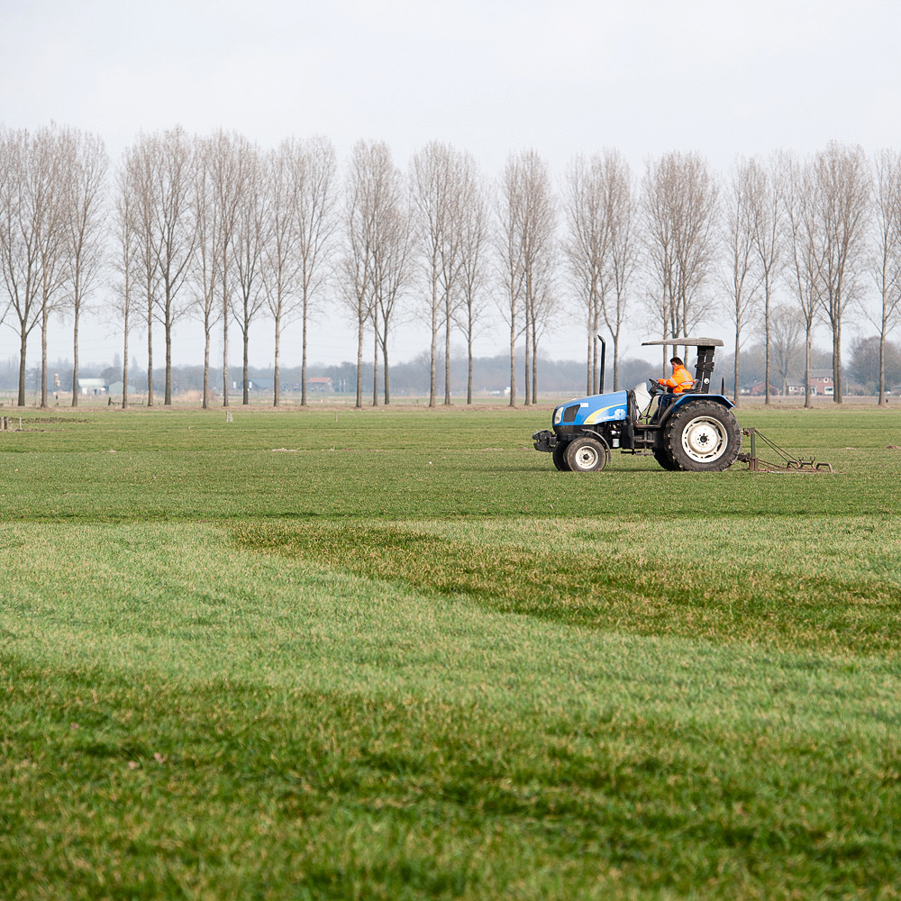 Hart voor Kaas slepen gras Homoet