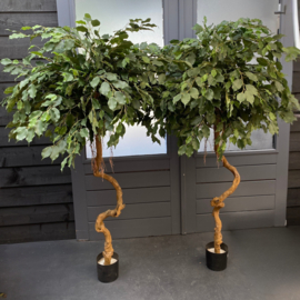 Kunstplant ficus op stam 180 cm.