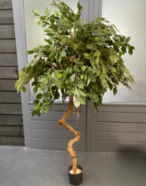 Kunstplant ficus op stam 180 cm.
