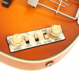 Violin Bass - Vintage Finish - 61 - (LH)