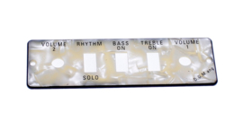 Guitar/Bass Control Panel Plate HA2B-P
