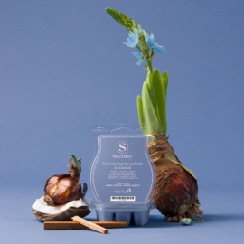 Juni-special: Blooming Hyacinth & Santal