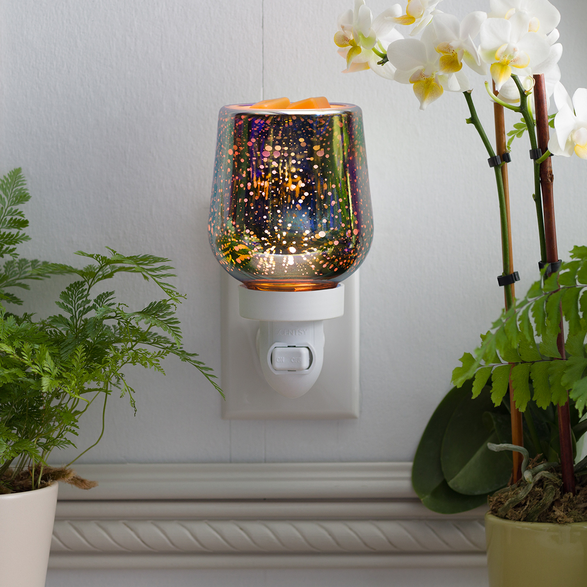 Stargaze Miniwarmer  €37,00
