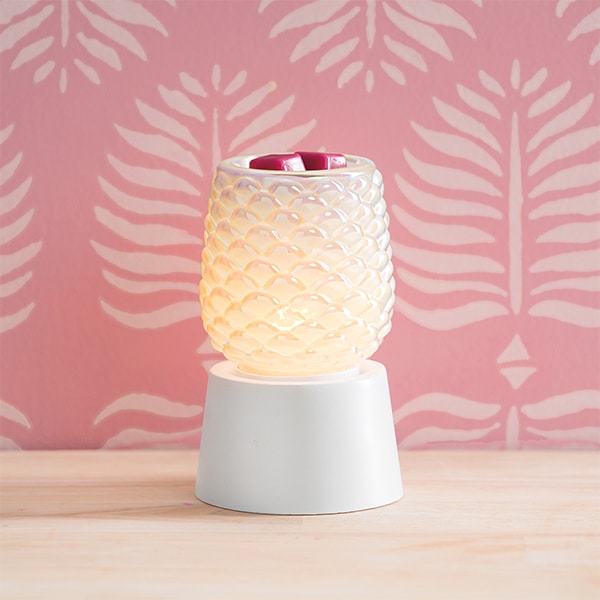 Scallop Miniwarmer €37,00