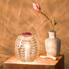 White Marigold Warmer
