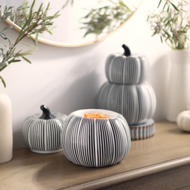 Courtly Striped Pumpkin Warmer