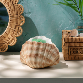 Seashell Warmer €66,00