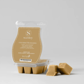 Coconut Blossoms Scentsy bar