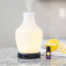 Renew Diffuser - Sale