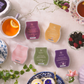 Ervaar onze Botanische Waxcollectie