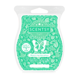 Bloom-ing Marvelous Scentsy bar