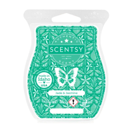 Jade & Jasmine Scentsy bar