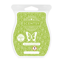 Key Lime & Grapefruit Scentsy bar