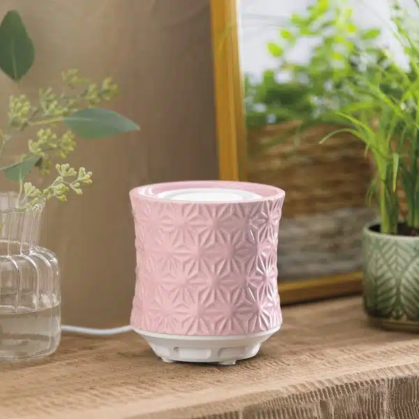 Scentsy Air – Burst