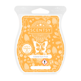 Coastal Sun Fruit Scentsy bar