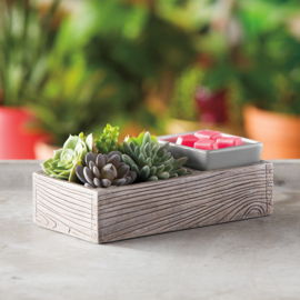 Suc-cute-lent Warmer €81,00