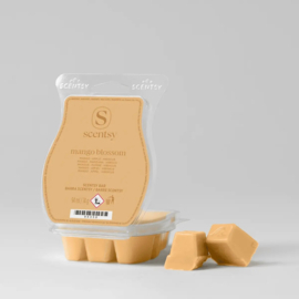 Mango Blossom Scentsy bar