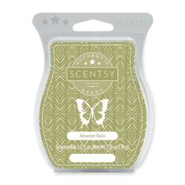 Amazon Rain Scentsy bar