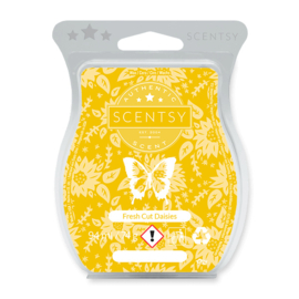 Fresh Cut Daisies Scentsy bar