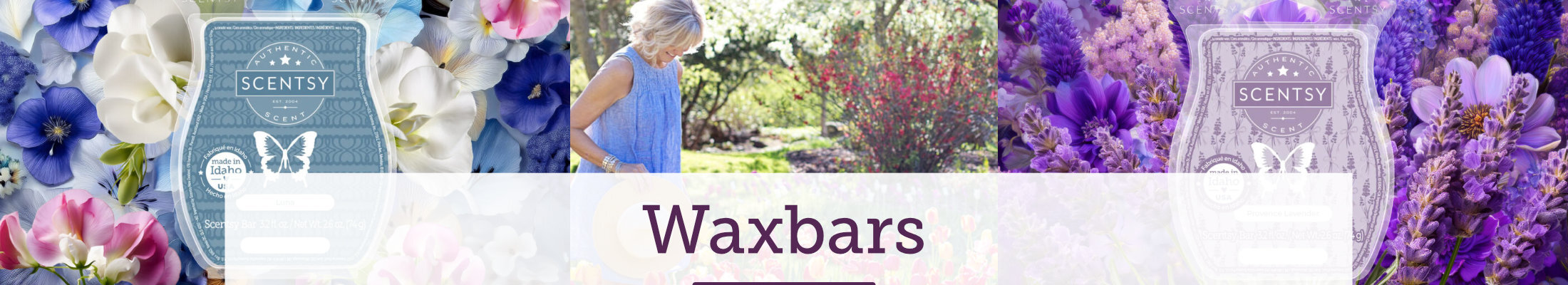 Scentsy Waxbars