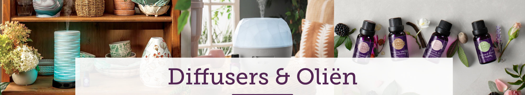 Scentsy Diffusers en Oliën