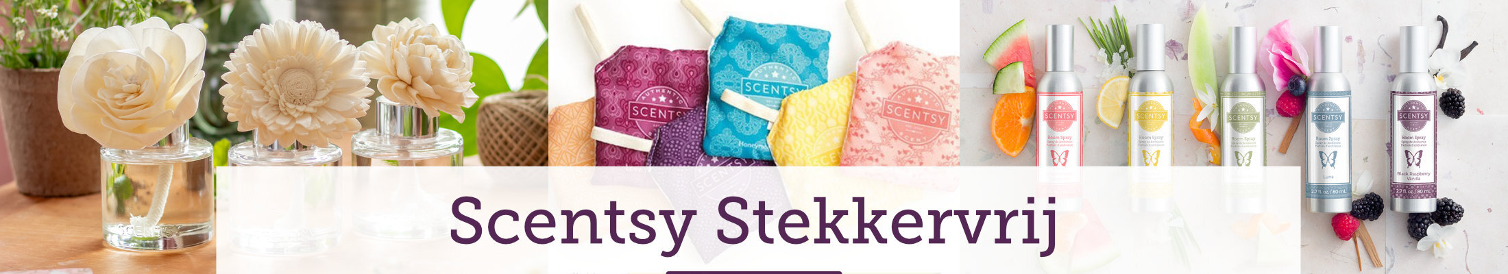 Scentsy Stekkervrij