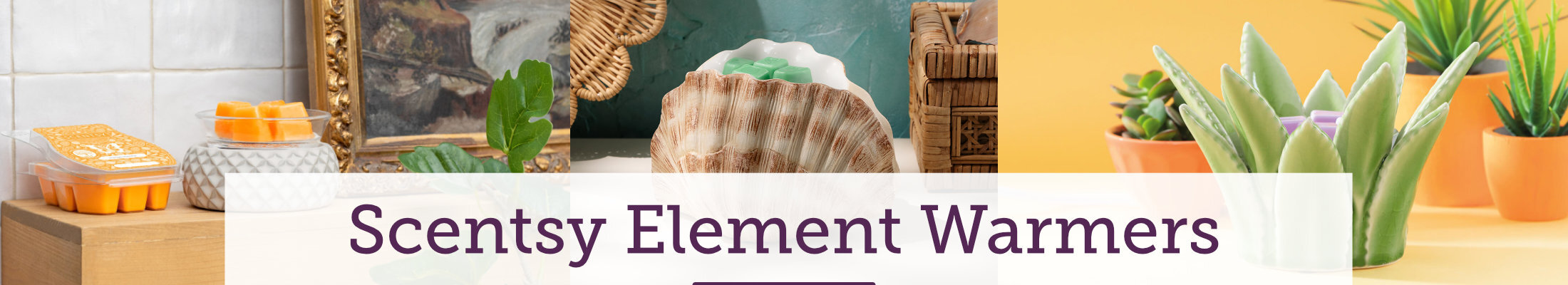 Scentsy Element Warmers