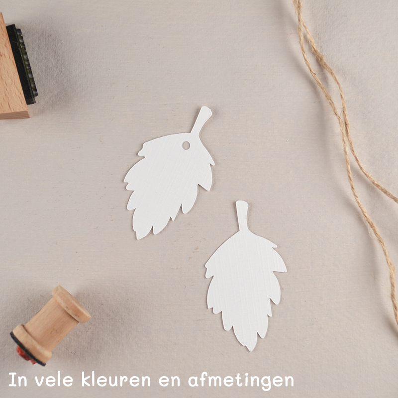 Boomblad Label in Kleur – Met Gaatje, Touwtje en Eigen Tekst