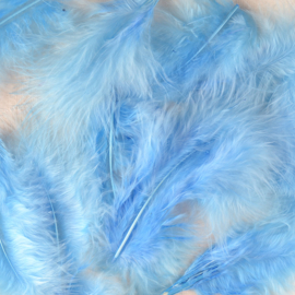 Veertje blauw
