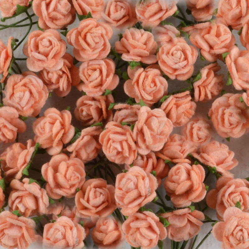 Mulberry Roosje Donker Zalm – Stevig & Stijlvol