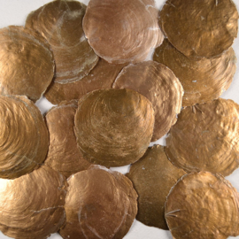 Grote Schelp Goud