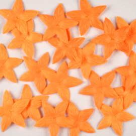 Kleine Papieren Bloem Oranje