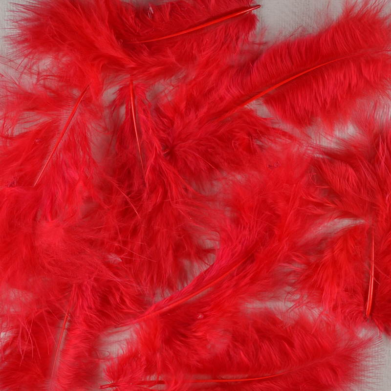 Veertje Rood – Vurig Detail met Power