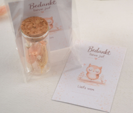 Bedankt lieve juf - buisje met droogbloemen