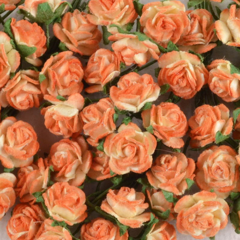 Mulberry Roosje Oranje/Crème – Vrolijk Duo