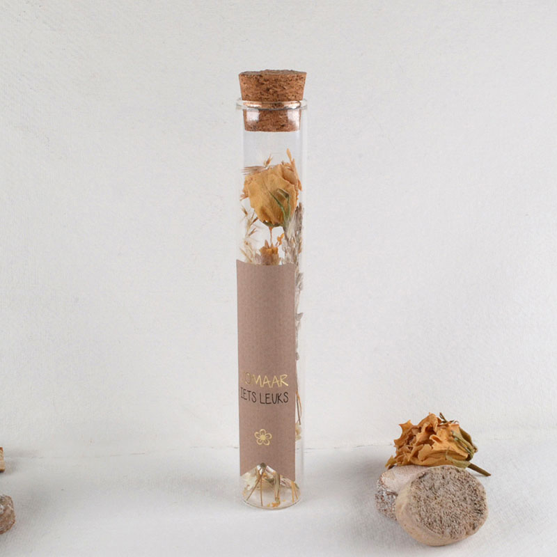 Glazen Tube met Droogbloemen en Sticker ‘Zomaar Iets Leuks’