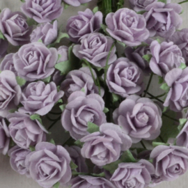 Mulberry roosje lila