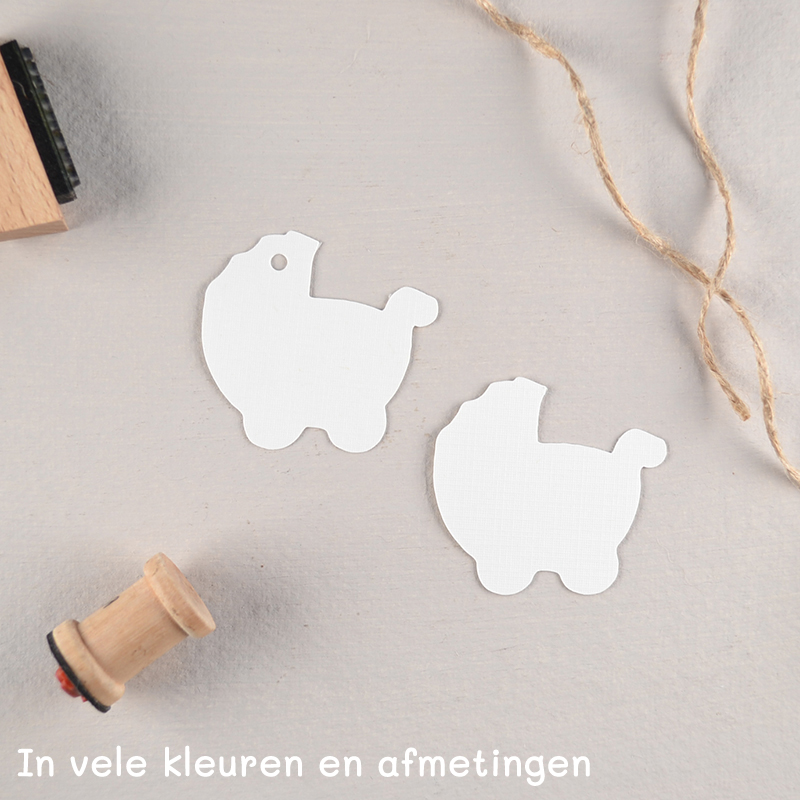 Kinderwagen Label in Kleur – Met Gaatje, Touwtje en Eigen Tekst