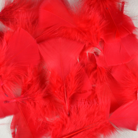 Veertje rood