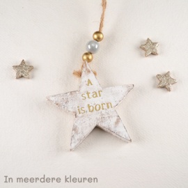 Ster hout, A star is born