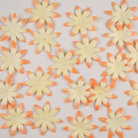 Papieren Bloem Crème Met Oranje Rand