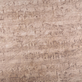 Dubbelzijdig A4 karton met muziekprint