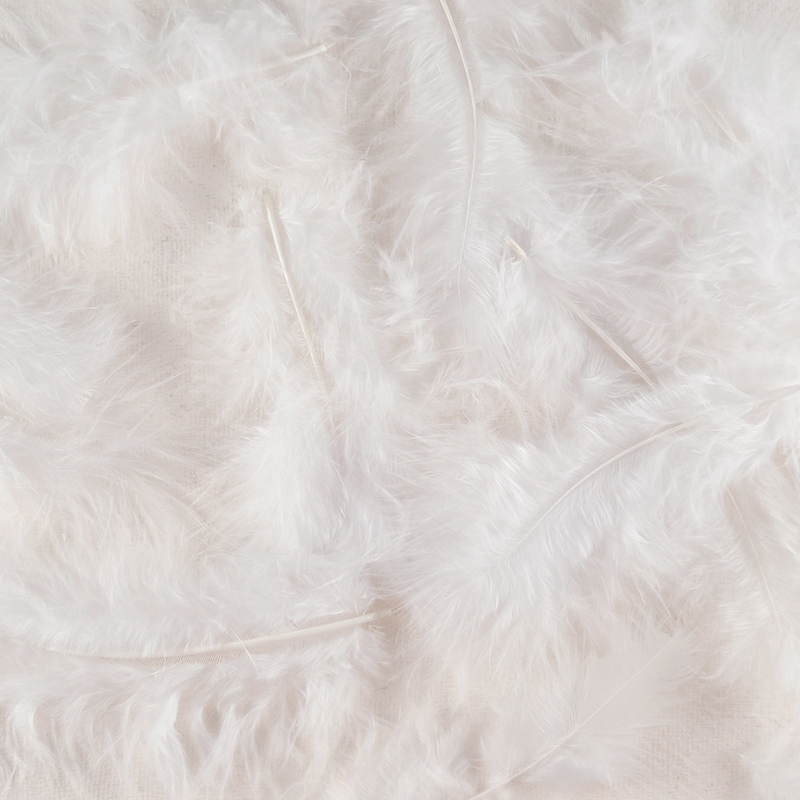 Veertje Wit – Fris & Sereen Detail