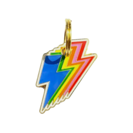 Hondentag Rainbow Bliksem