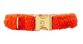 Halsband Teddy Oranje