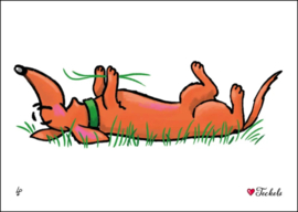 Teckelkaart Love Teckels Gras