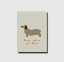Ansichtkaart Home is Where Your Dog is
