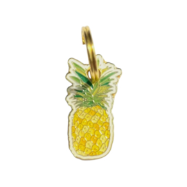 Hondentag ananas