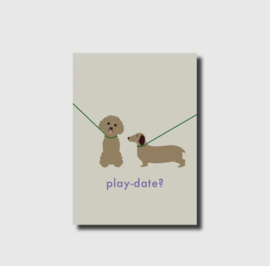 Ansichtkaart Play-date? Poedel en teckel