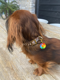 Hondentag Rainbow Flower